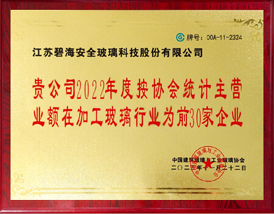 在加工玻璃行業為前30家企業